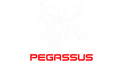 Pegasus